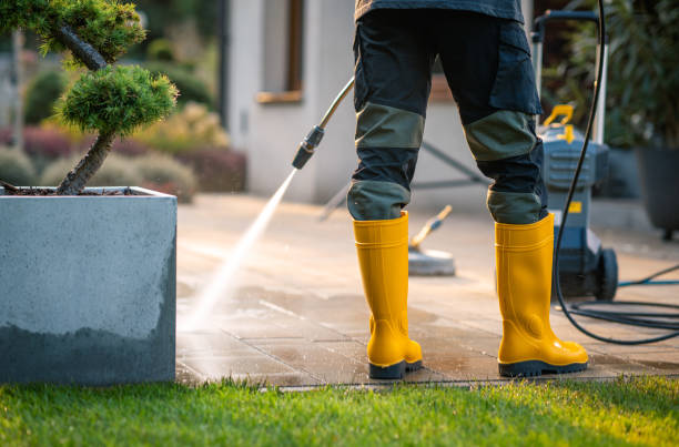 Reliable Elk Creek, KY  Pressure Washing Solutions